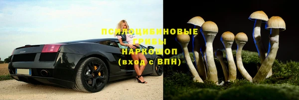 прущие крисы Алзамай