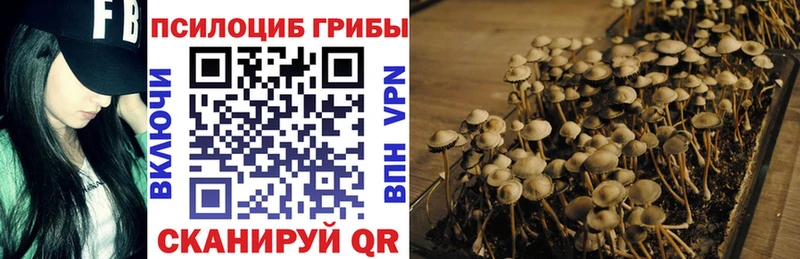 Галлюциногенные грибы GOLDEN TEACHER  Нягань 